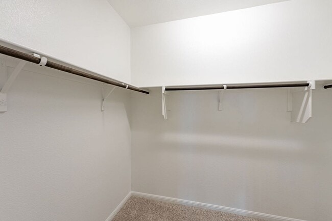 Building Photo - Beautiful New 4 bed, 2 bath home in Buda!