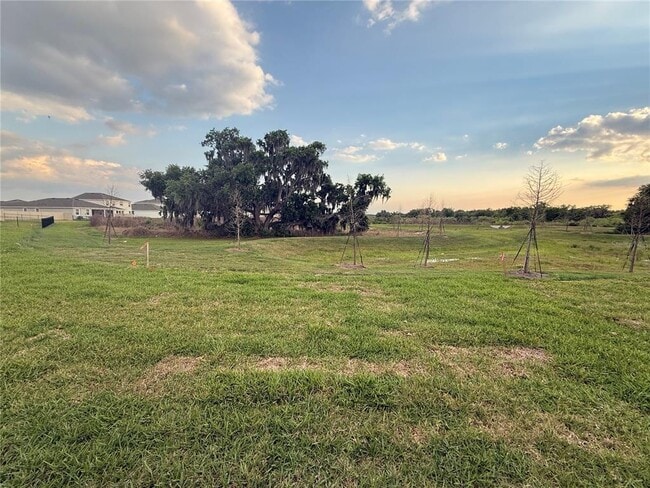 Building Photo - 4005 Westwood Flds Lp