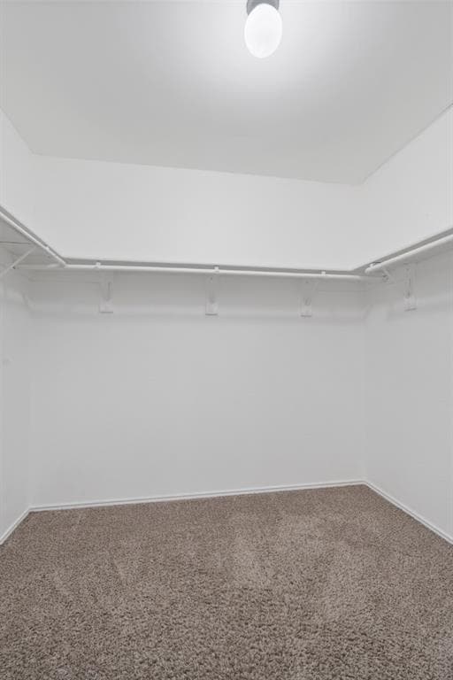 Building Photo - 911 Flatters Way