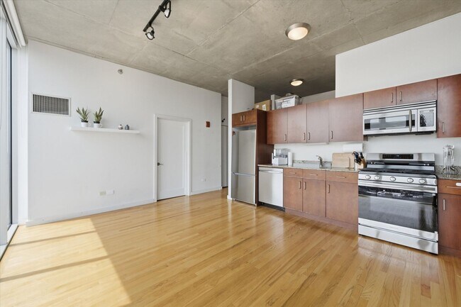 Building Photo - South Loop Condo 2BR + Garage Parking Included