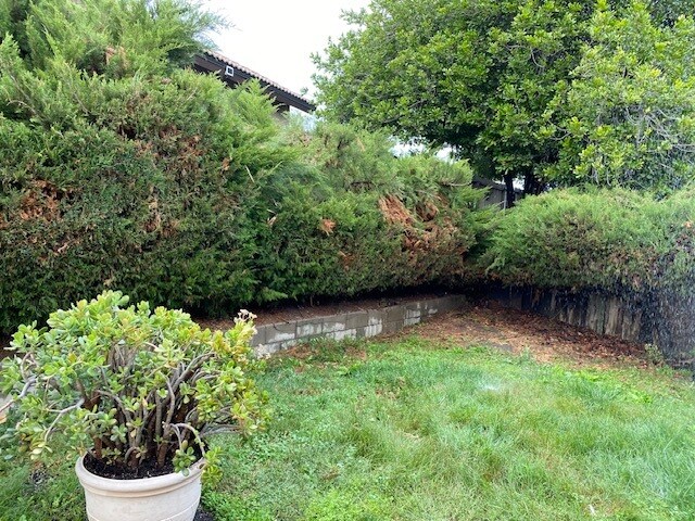 Building Photo - 2343 Lake Forest St