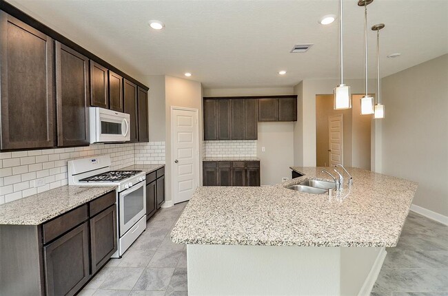 Building Photo - 1710 Ruby Plains Ct.