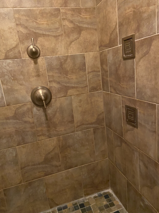 Custom shower w/ Kohler fixtures and right wall jets in main bedroom - 1309 Ujamaa Dr