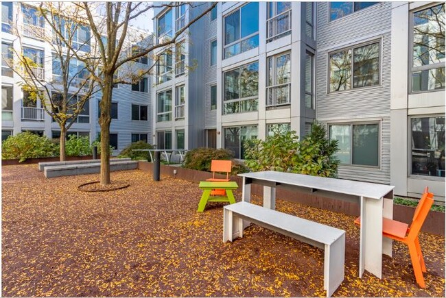 Landscaped Courtyard - 4101 Albemarle St NW