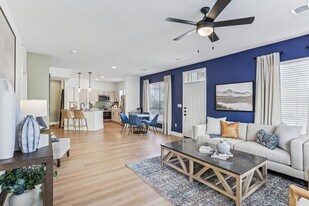 Astoria Finishes - Flatiron District at Austin Ranch