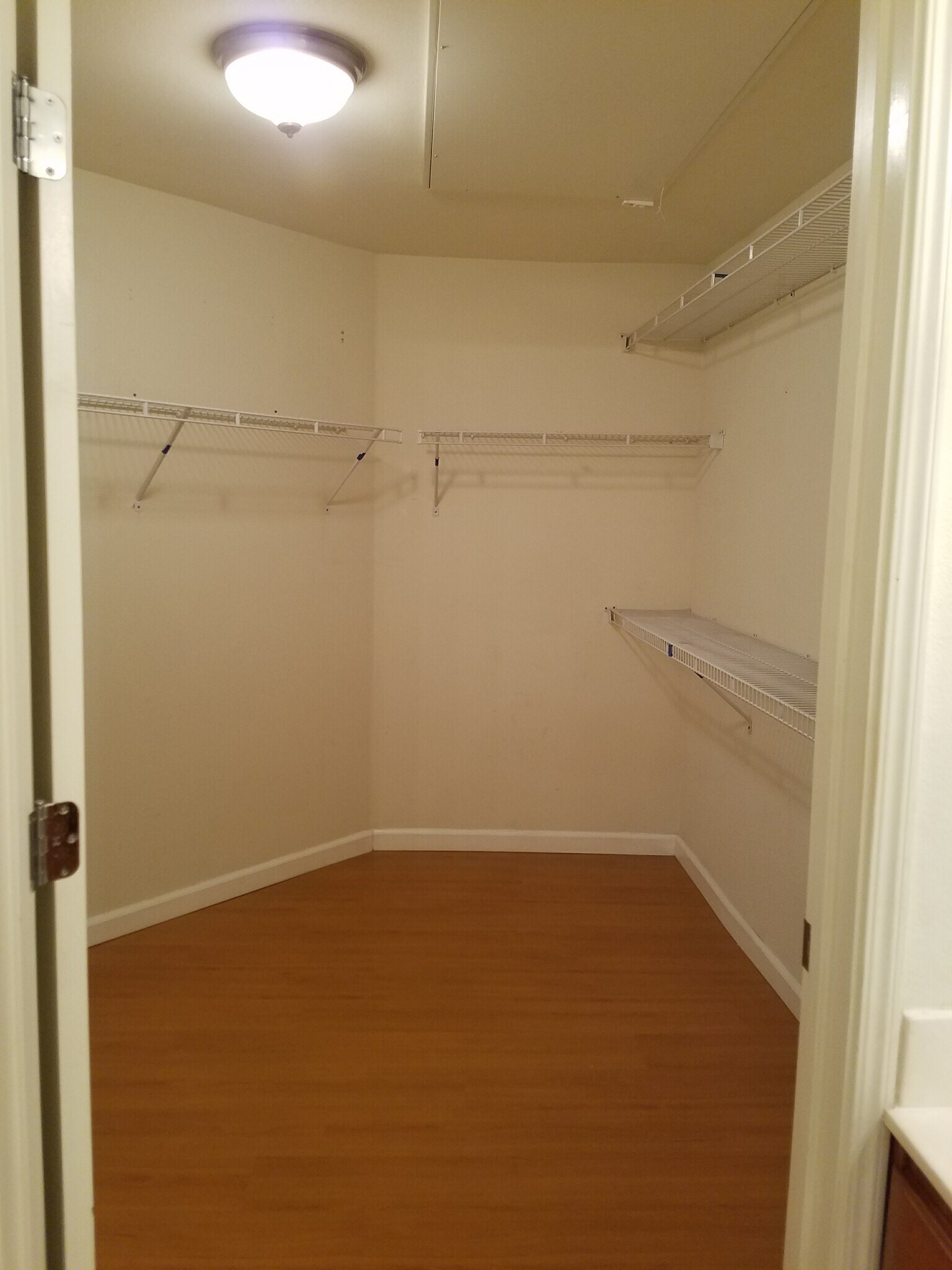 Master Walk-in Closet - 1310 Saddle Rack St