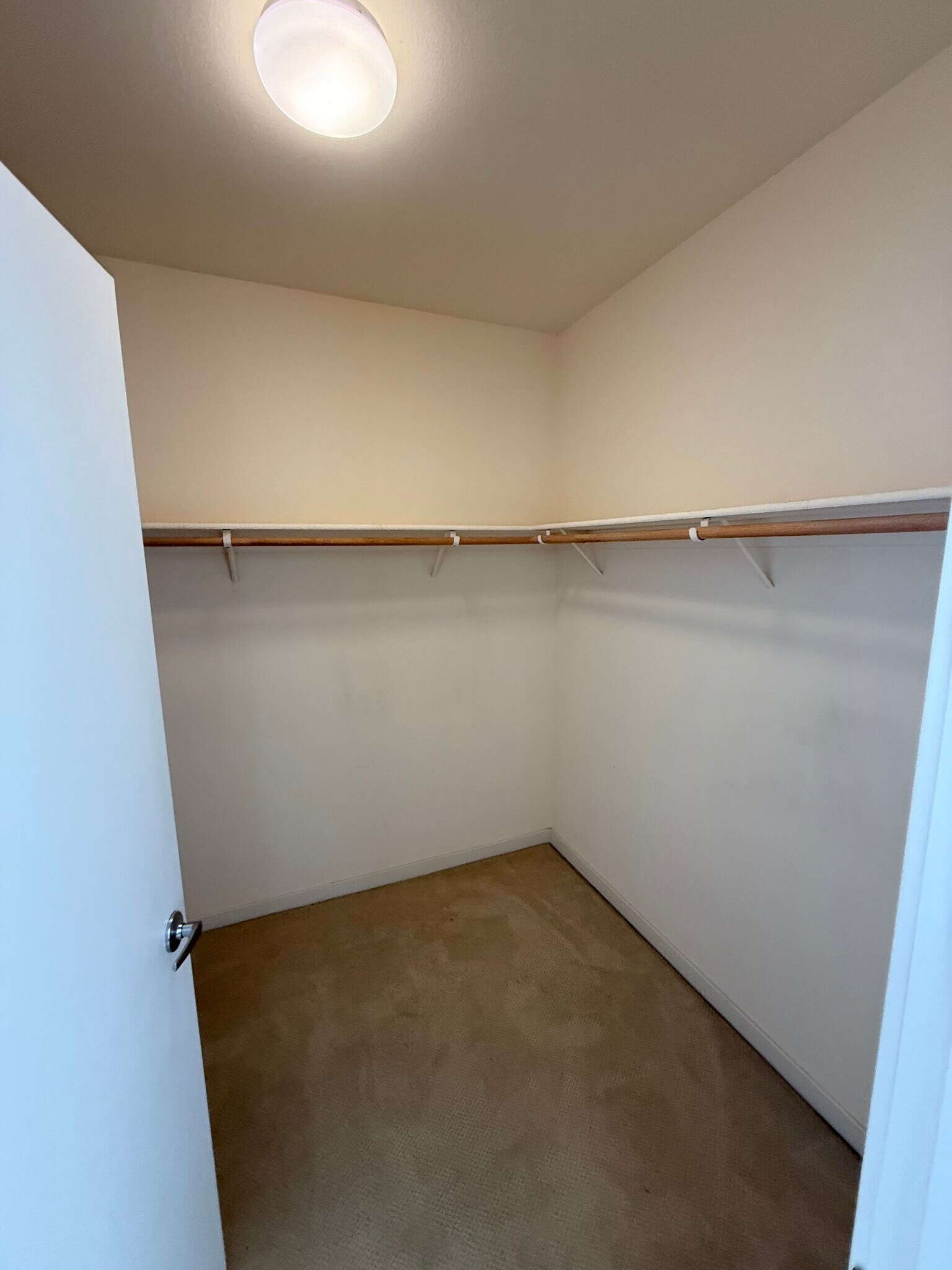 Primary walk-in closet - 288 3rd St