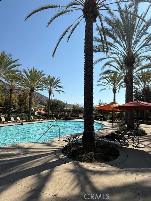Building Photo - 652 Desert Willow Rd