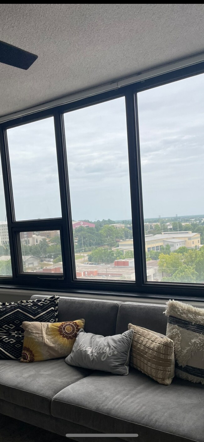 view from living room - 1100 Wheat St