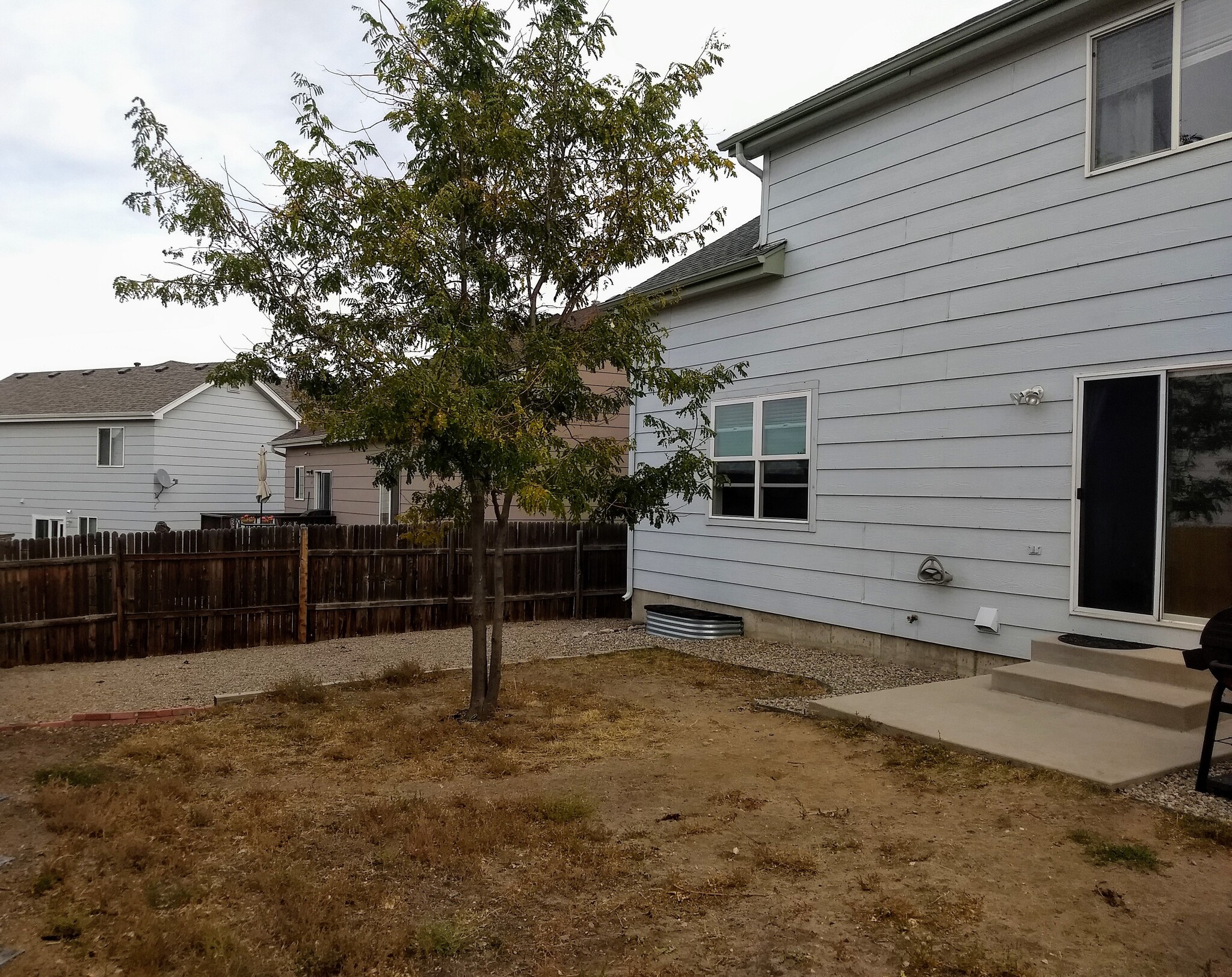 Backyard - 5016 Prairie Grass Ln