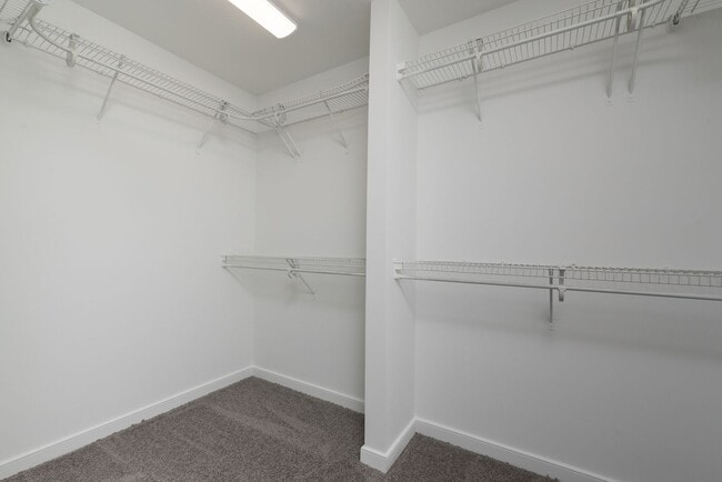 Building Photo - 4102 Pale Moon Ct
