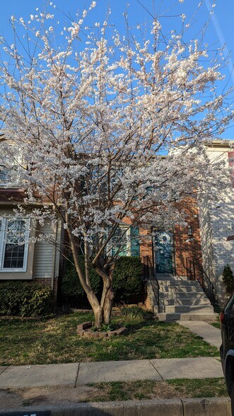 Building Photo - 13914 Woods Run Ct
