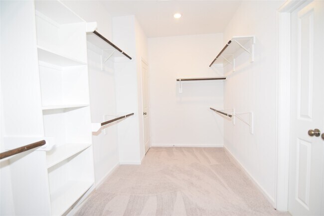 Building Photo - 30375 Centipede Grv Ln
