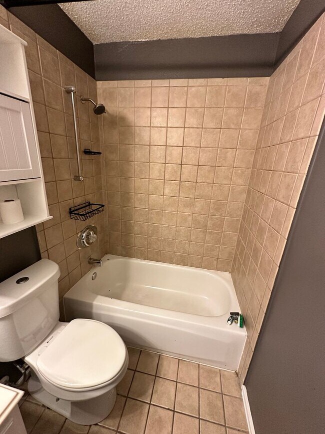Building Photo - SPACIOUS REMODELED HOME NEAR MAJOR ARLINGT...