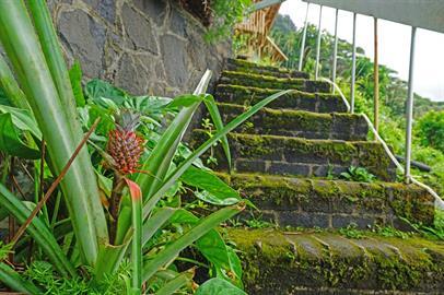 Building Photo - 3270 Huelani Dr