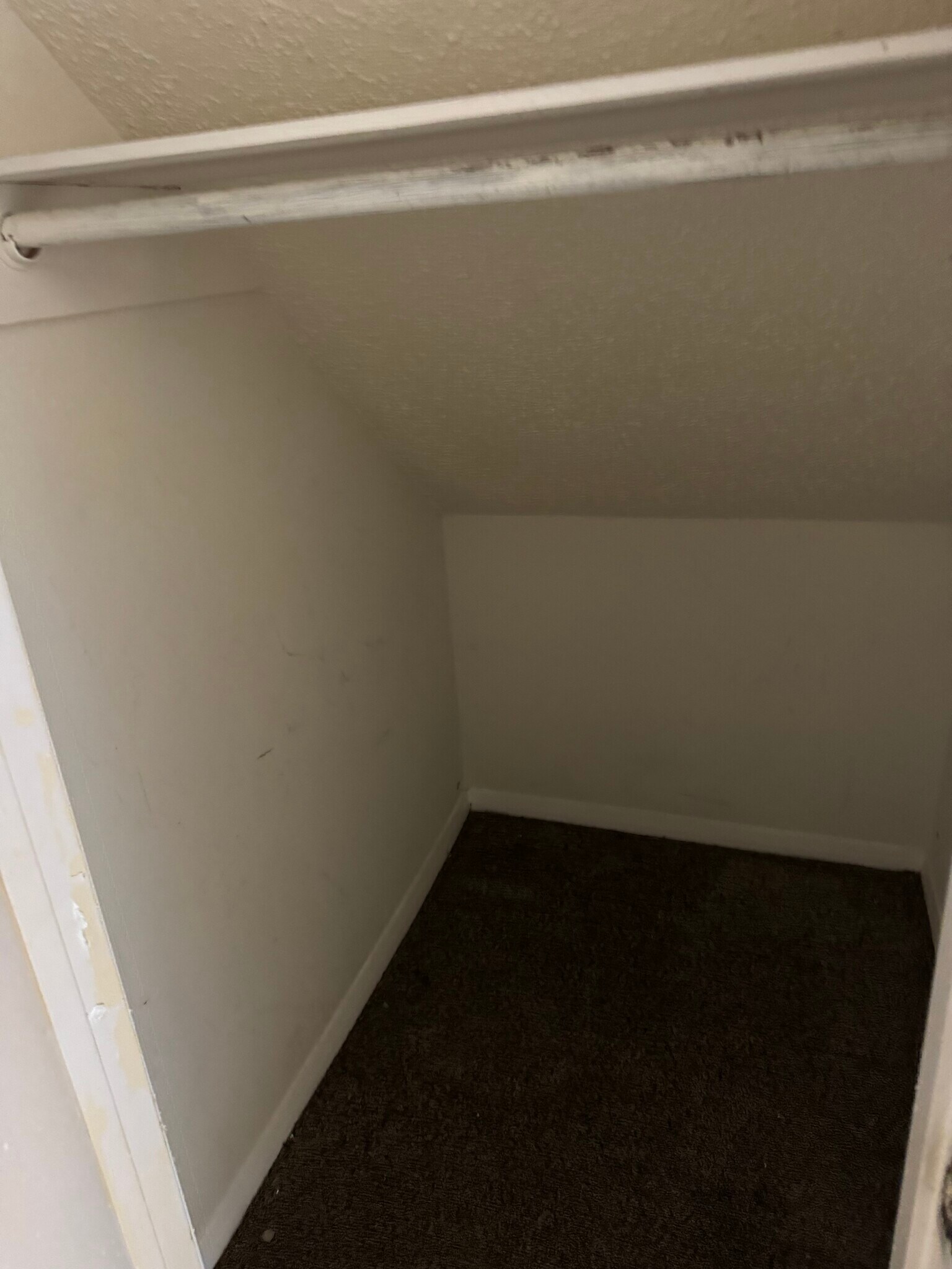 Building Photo - 3923 Tanglewilde St