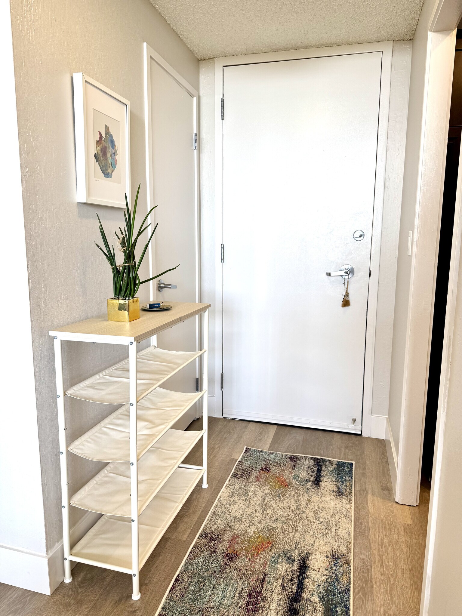 Front entrance w/ Shoe rack - 633 Cowper St