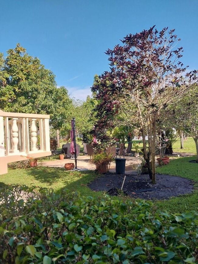 Building Photo - 361 Windsor N