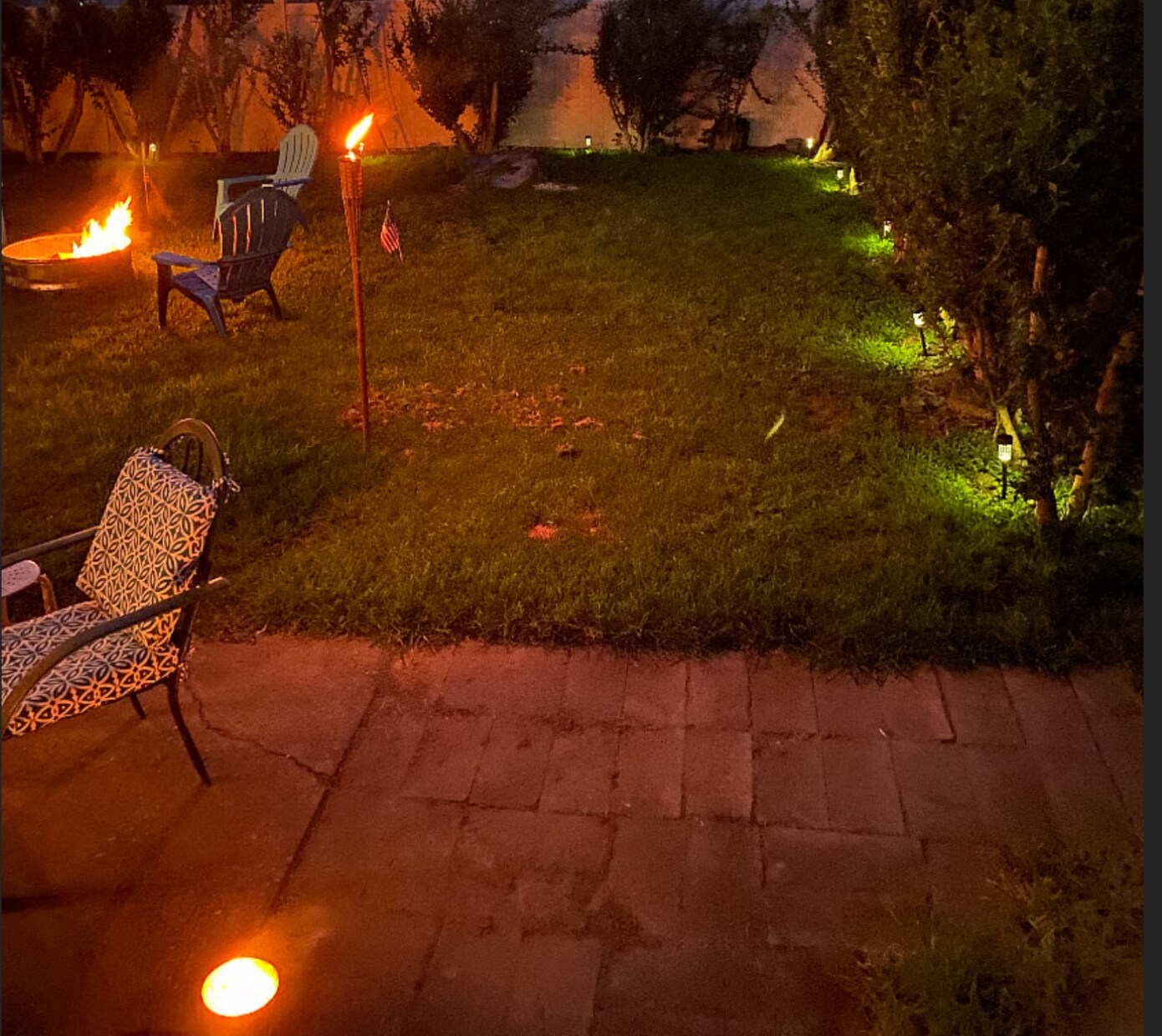 Fenced in yard - 1101 7th Ave