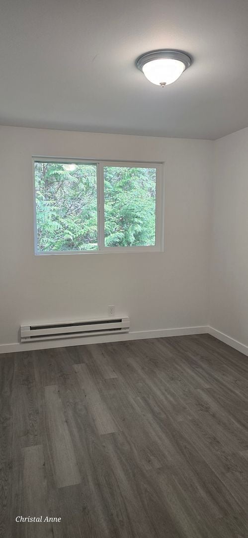 Building Photo - Fully Remodeled 3 bedroom in Grapeview