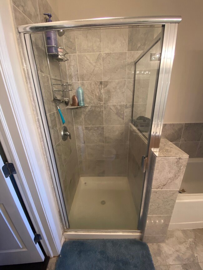 Master bath - 1464 S MICHIGAN Ave