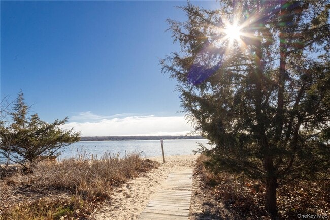 Building Photo - 242 Maple Ln