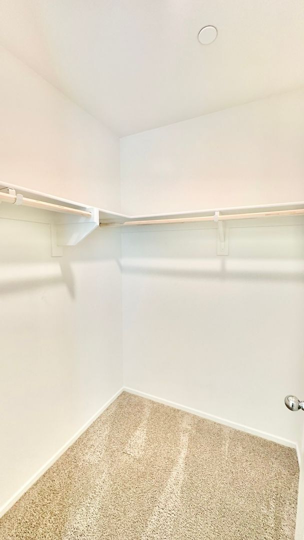 Building Photo - Beautiful Brand New Construction Single St...