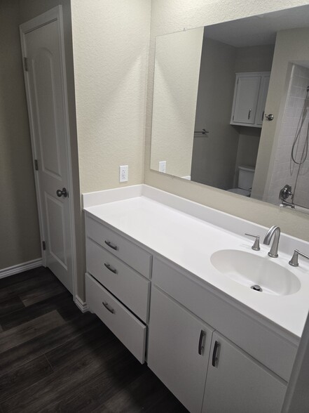 Master Bath Vanity - 315 Watts Ln