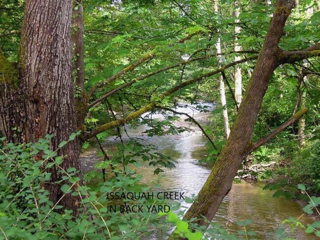 Issaquah Creek in back yard - 323 3rd Pl NW
