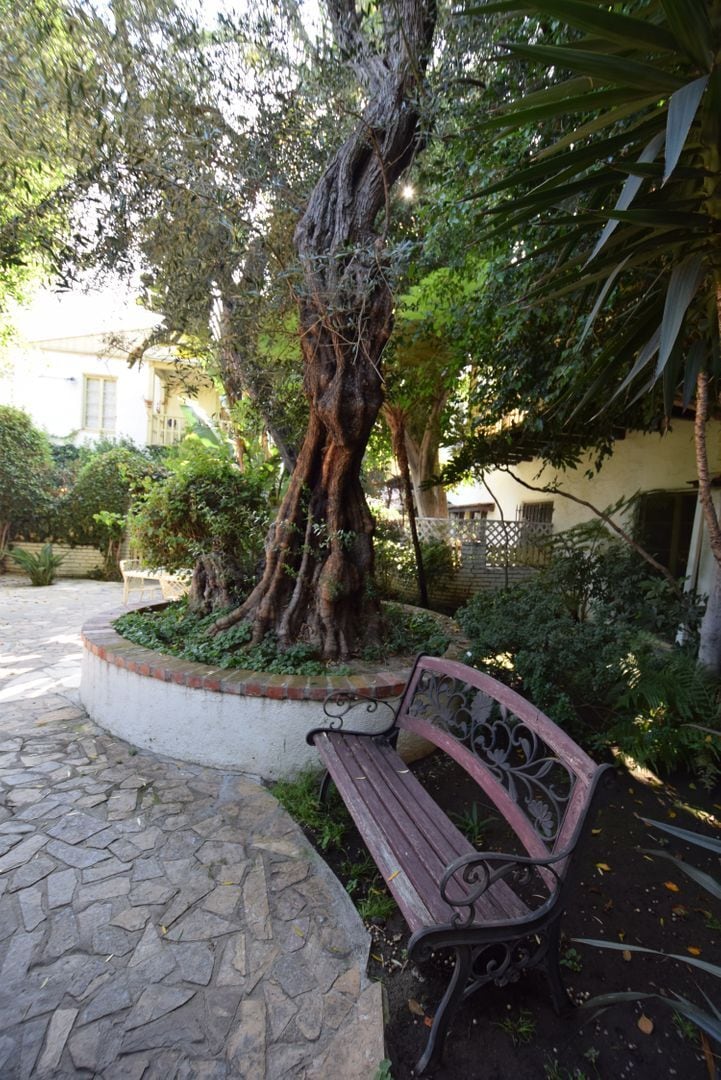 Building Photo - 1008 Orange Grv Ave