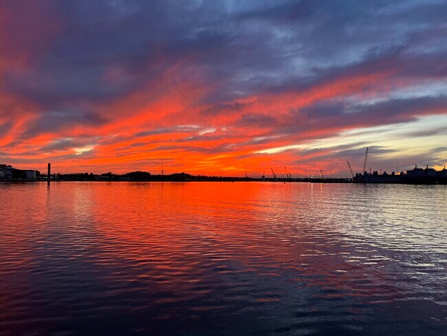 Sunset from the deck - 40 Rader St