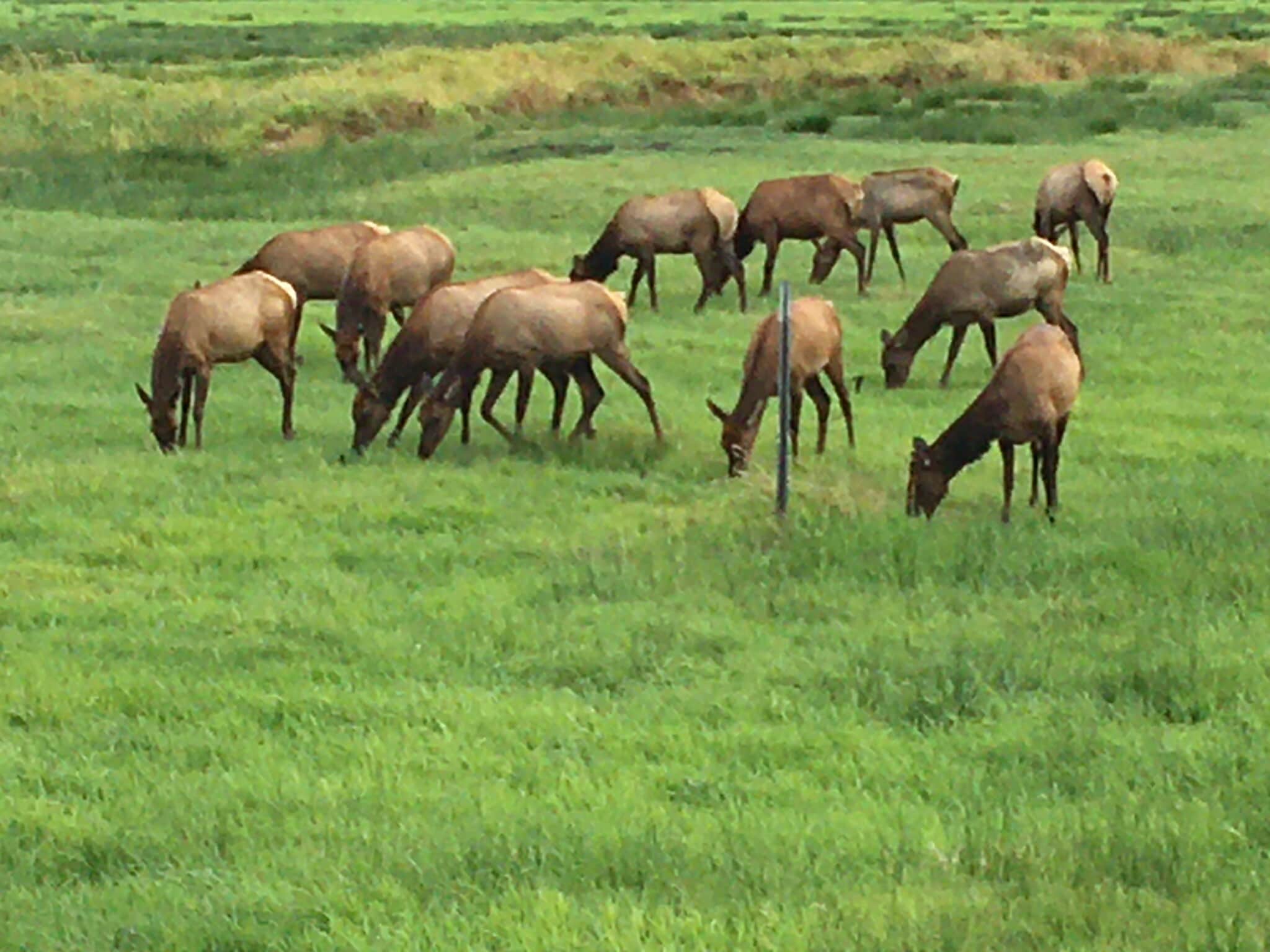 Building Photo - 4485 S Schooner Creek Rd