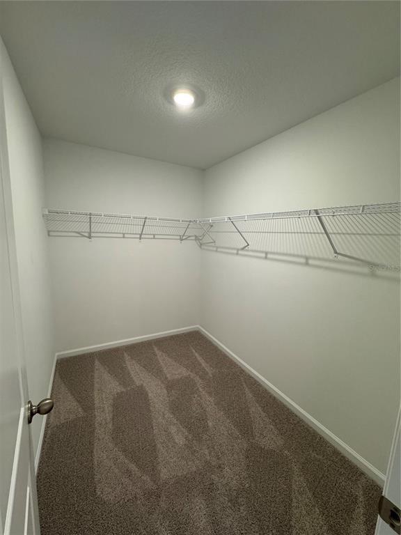 Building Photo - 3406 Vesara Dr