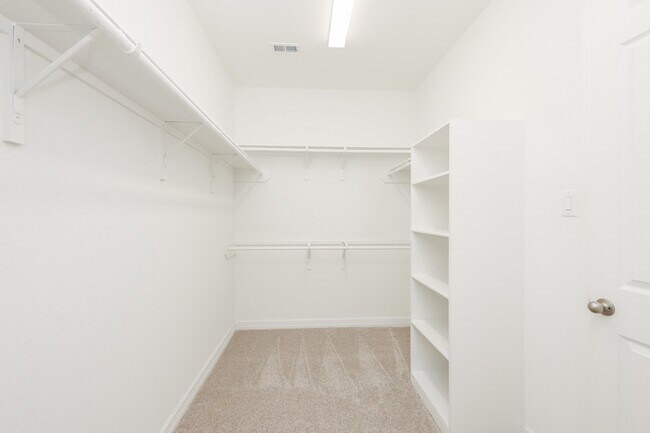 Building Photo - 2119 Stargrass Dr