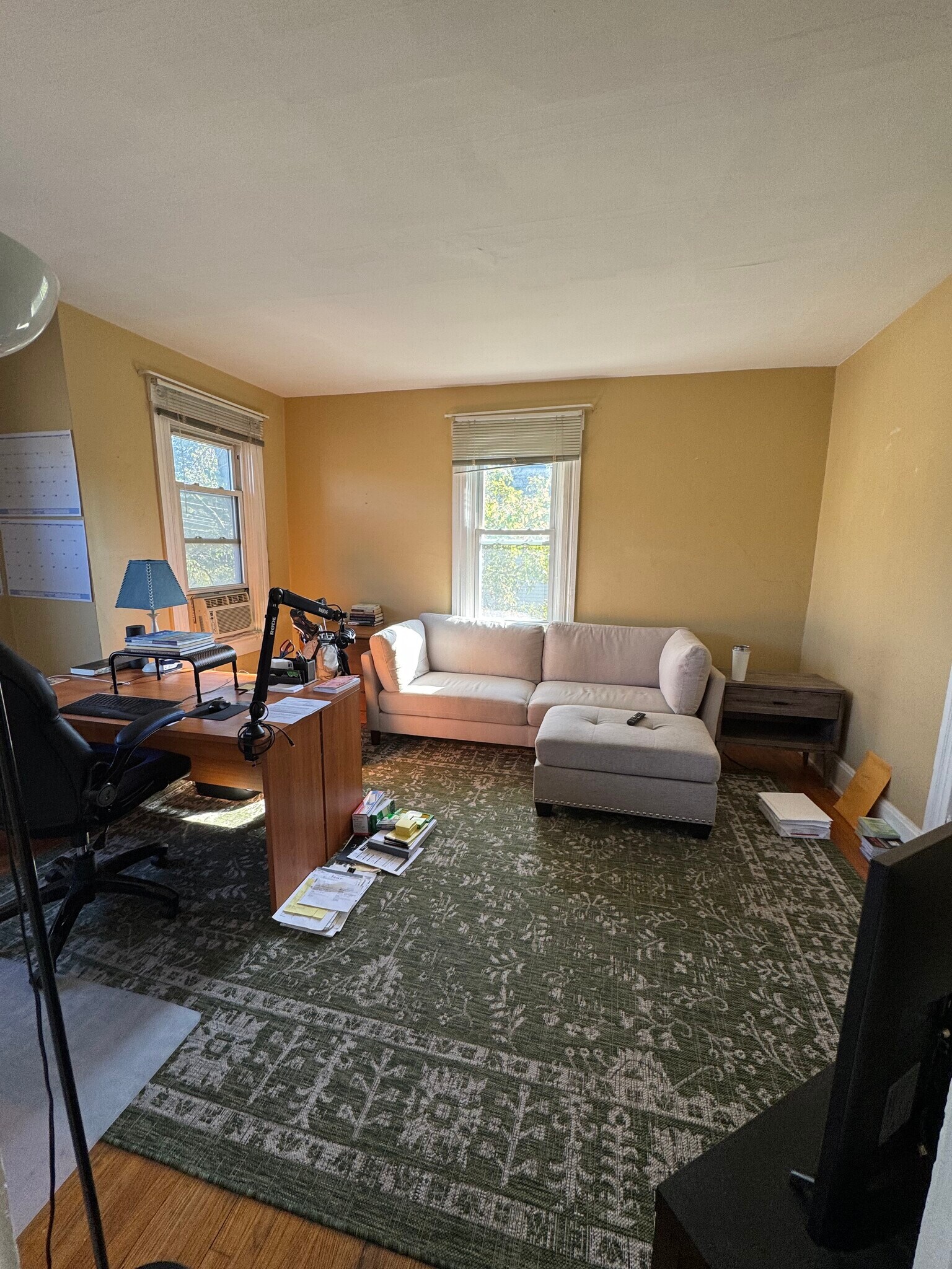 Living room - 439 W Loveland Ave