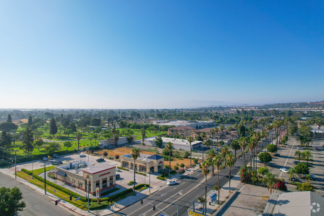 Perspective - The Garey Palms