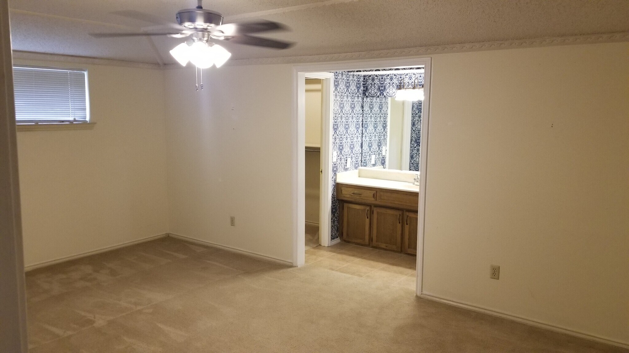 Large Master Bedroom - 509 Cedar Elm Ln