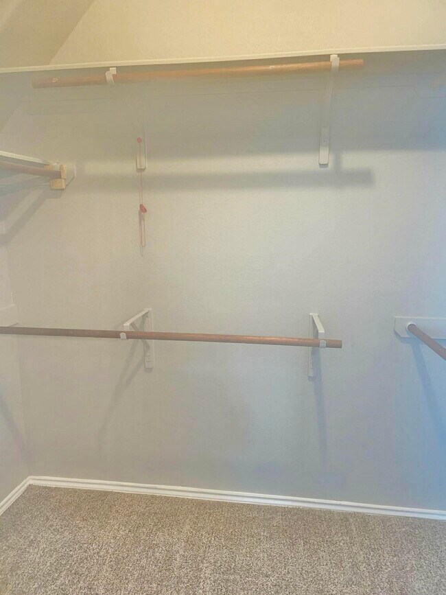 Building Photo - 20419 Canton Trce