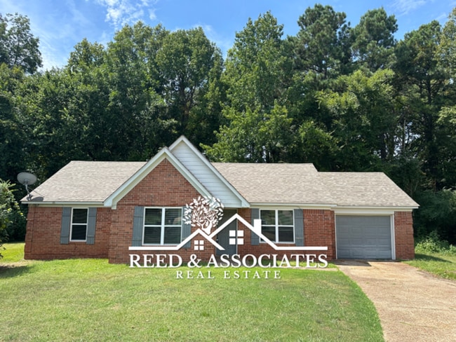 Primary Photo - Olive Branch Home Located in Quiet Cove!
