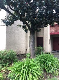 Building Photo - 19 Redwood Ct