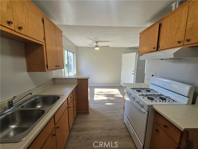 Building Photo - 434 N Terry Way