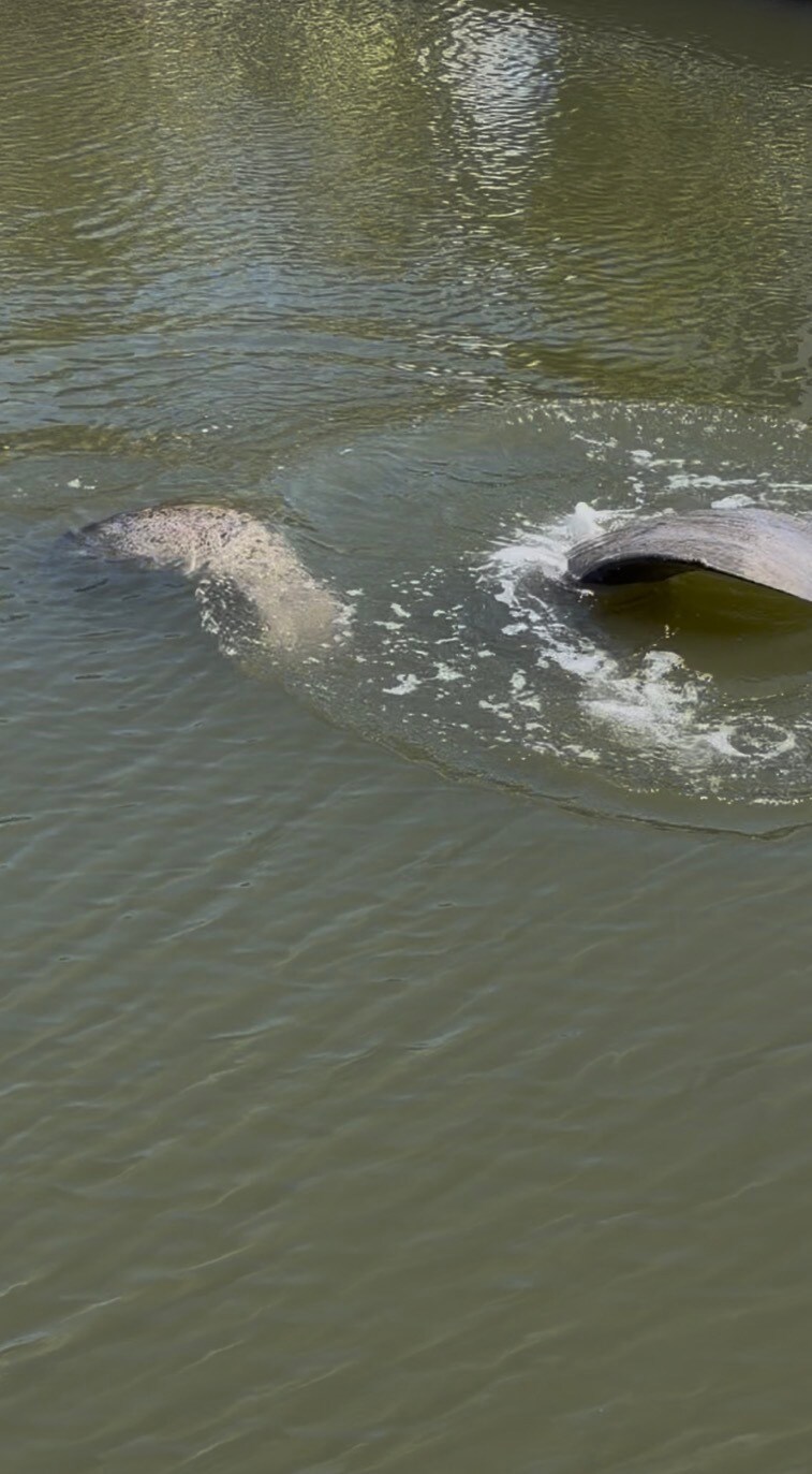 Building Photo - 11 Flamingo Rd