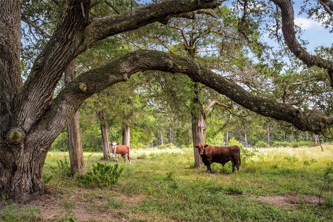 Building Photo - 11773 Newberg Rd