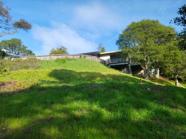 Looking Up to Back - 3256 Martin Rd