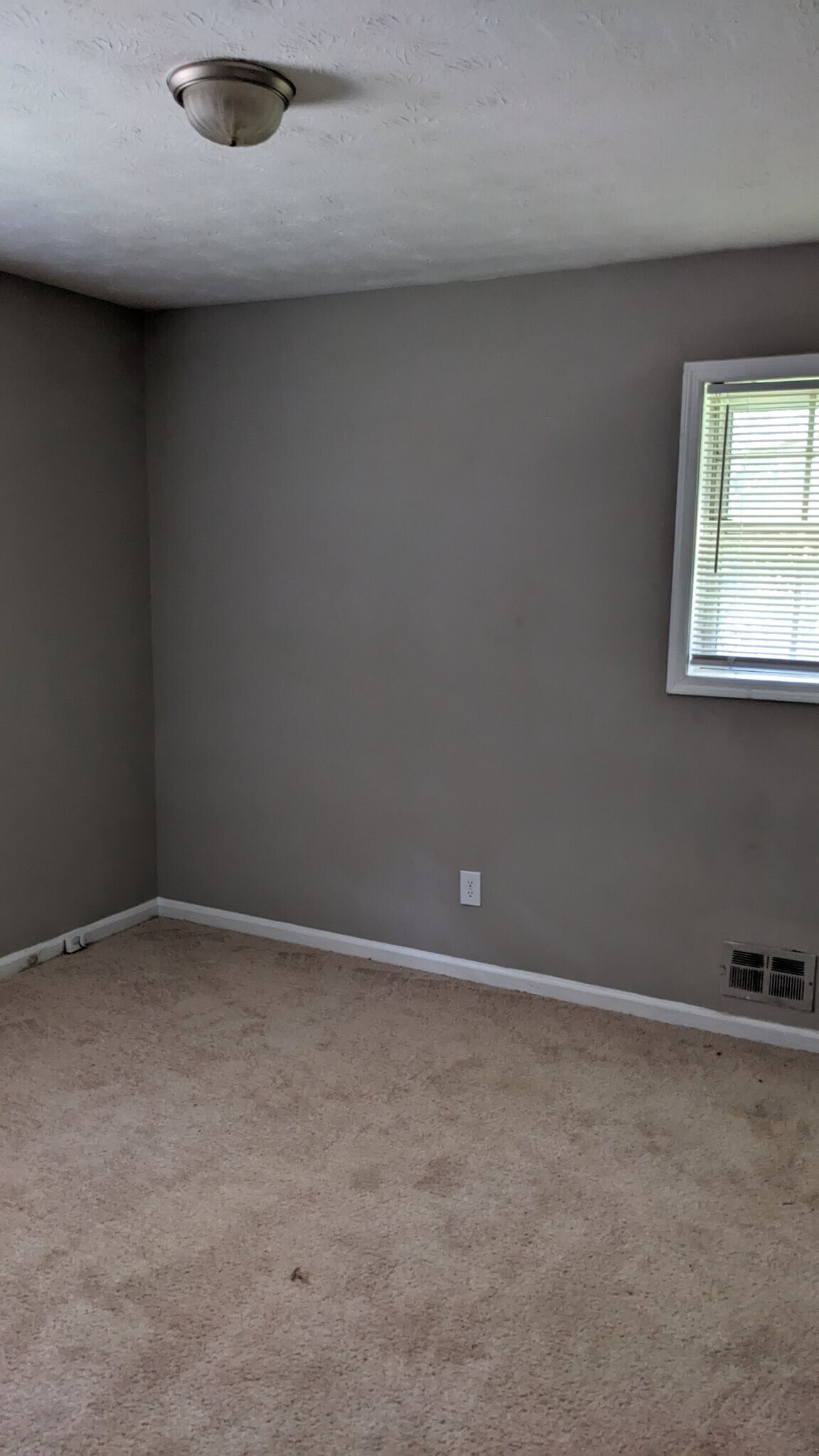 Building Photo - 2741 Williamsburg Dr