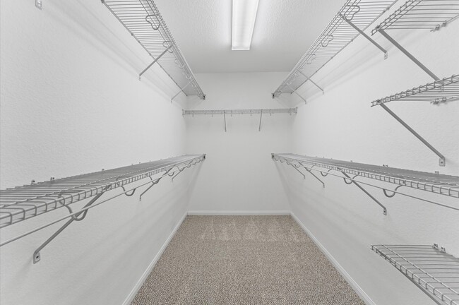 Building Photo - 38 Tallgrass Way