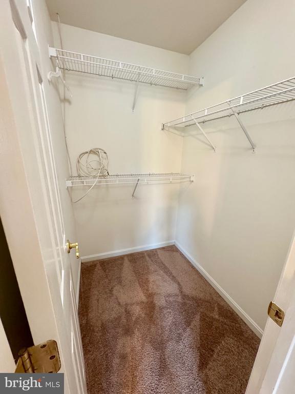 Building Photo - 805 Winterberry Dr