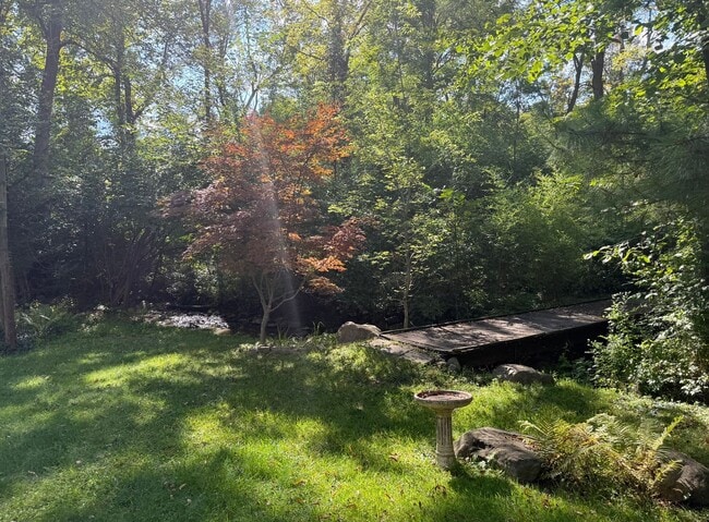 Building Photo - Spacious Mid-Century Modern Rental in Canton - 4 bed, 2 bath