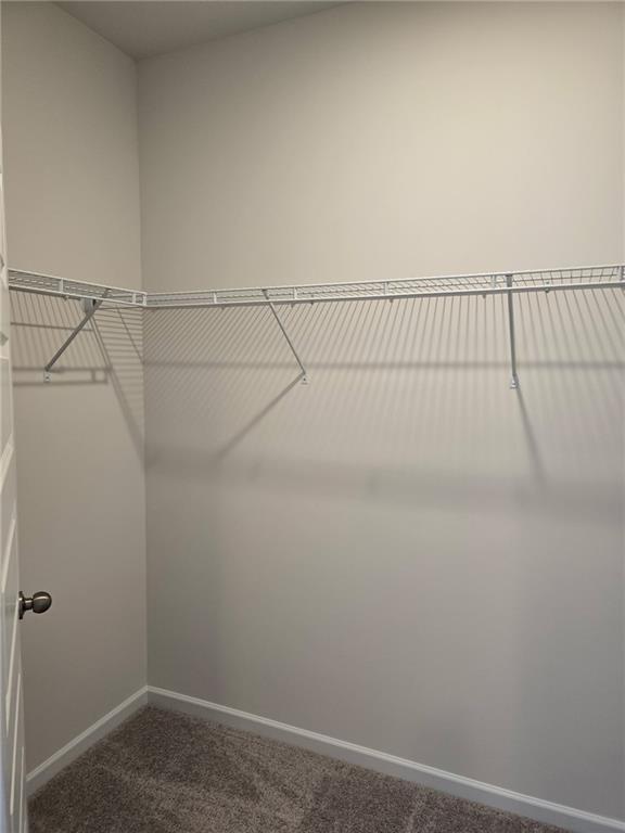 Building Photo - 313 Skye Ln