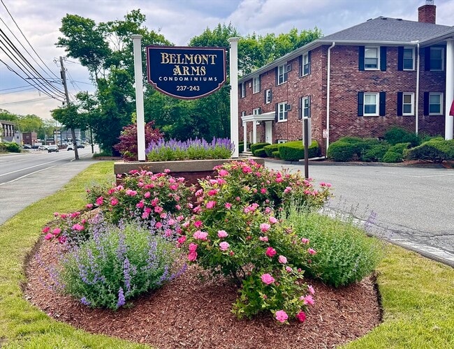 Primary Photo - 239 Main St